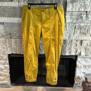 cabi tracker pant 10